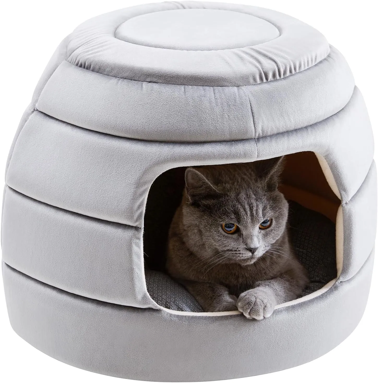 2-In-1 Foldable Cat Houses