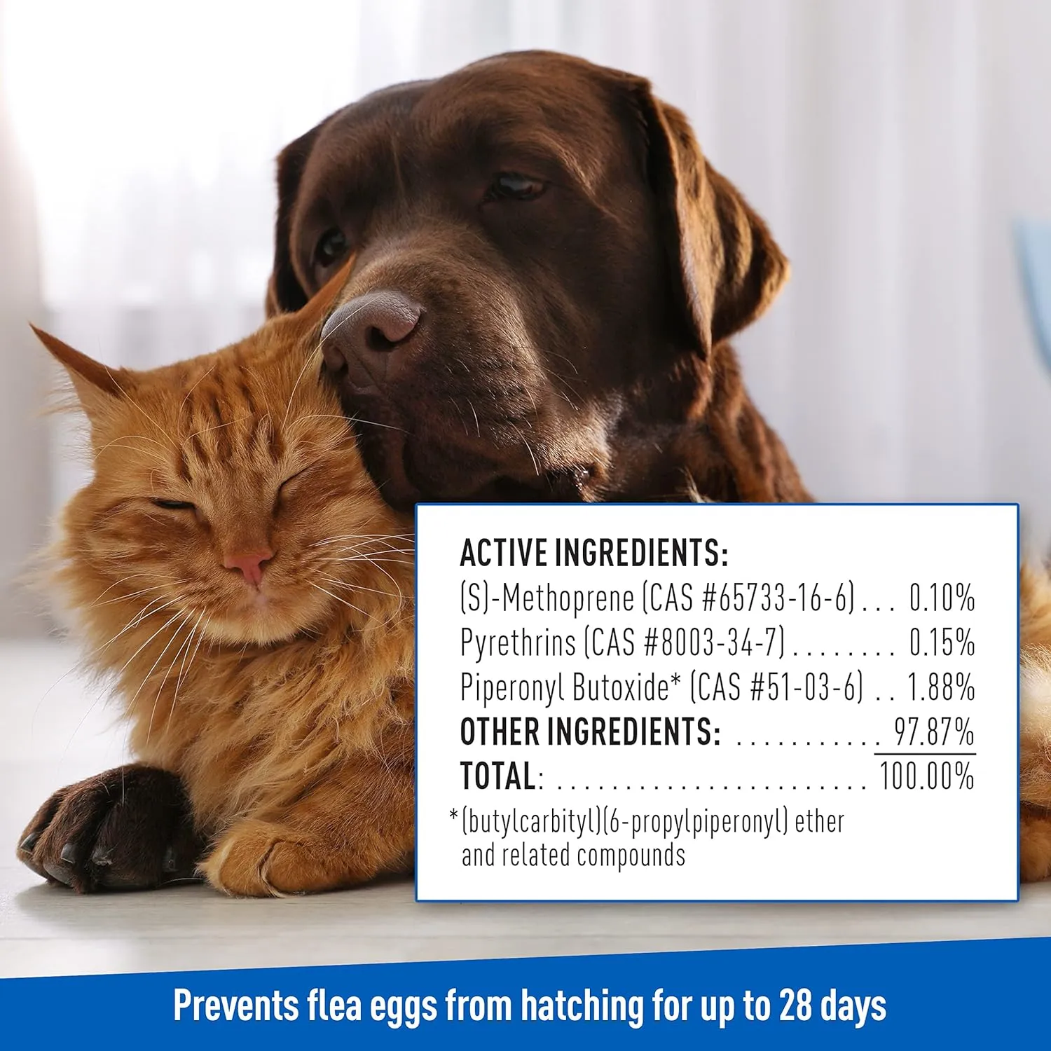 Adams Plus Flea & Tick Shampoo with Precor