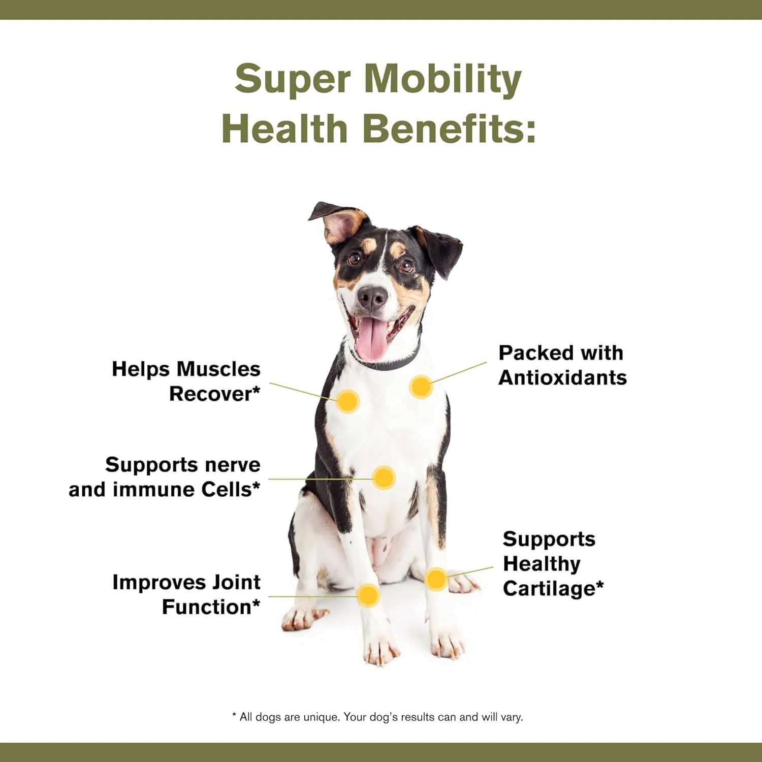 Badlands Ranch Super Mobility Canine Health Supplement, 3.17-oz