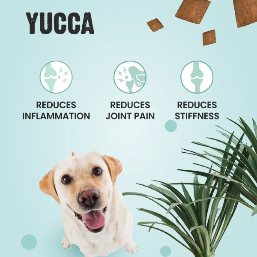 Bark Out Loud by Vivaldis Pillows for Hip & Joint Dog Treats (Limited Shelf Life) (Buy 1 Get 1)