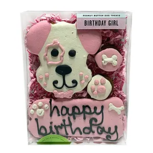 Birthday Girl Dog Treat Box