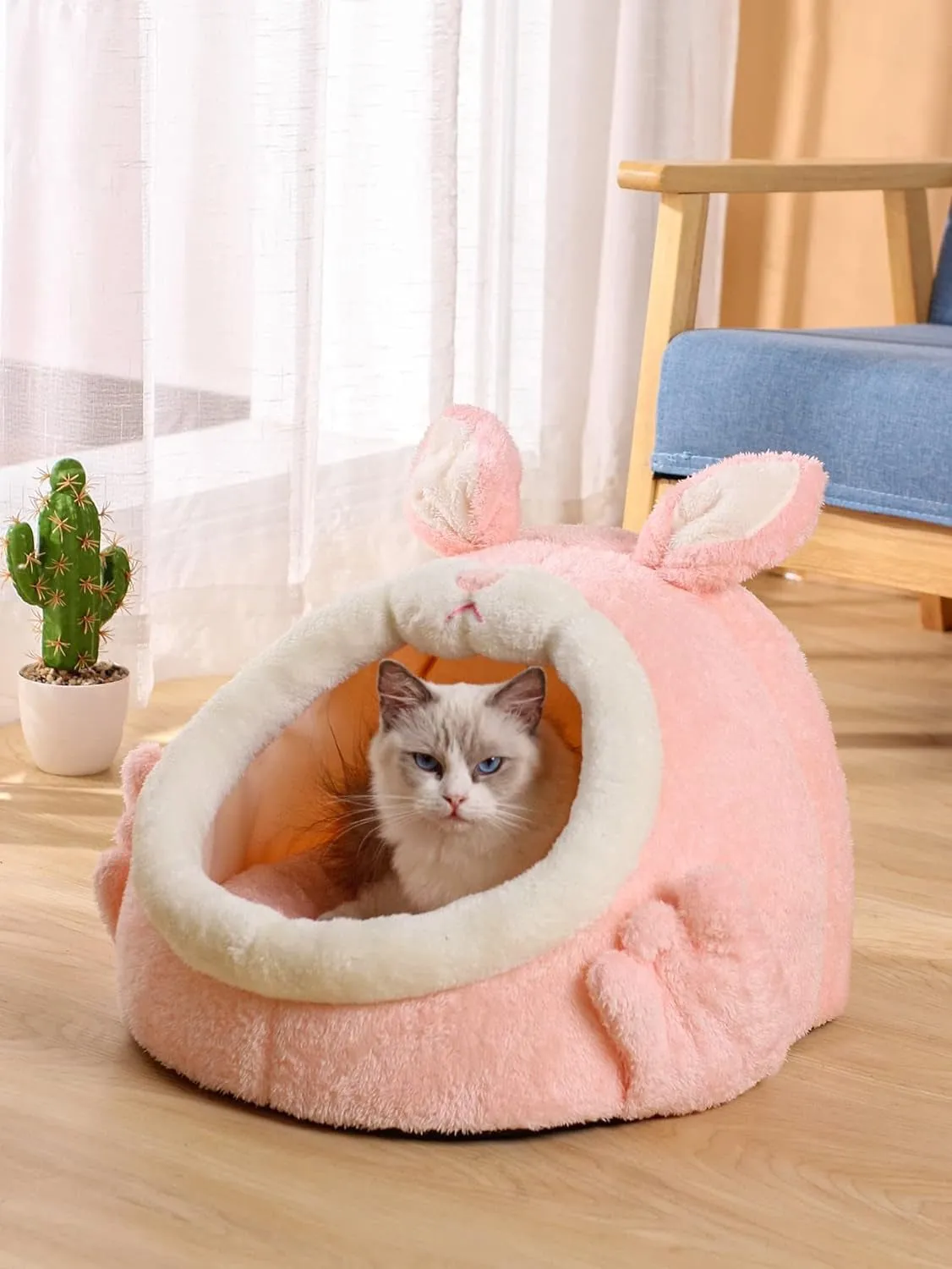 Cat Bed for Indoor Bed