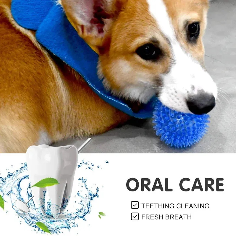 Durable Dog Chew Ball with Teeth Cleaning Features