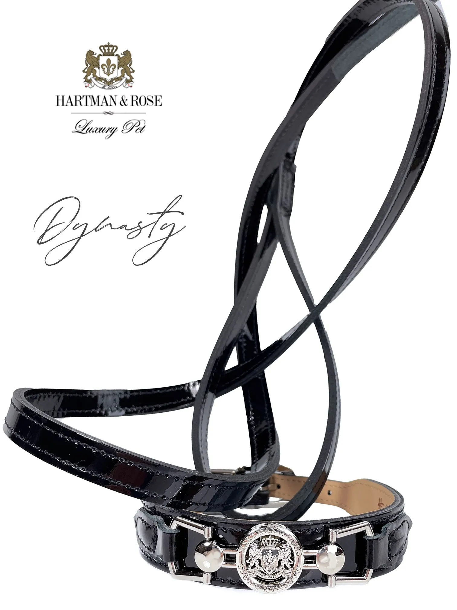 Dynasty Dog Collar in Black Patent & Nickel