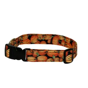 Elmo's Closet Pumpkins Dog Collar