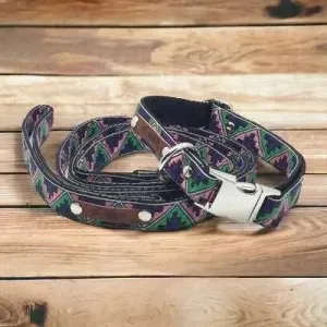 Finnigan's Whimsical Canine Collar Set