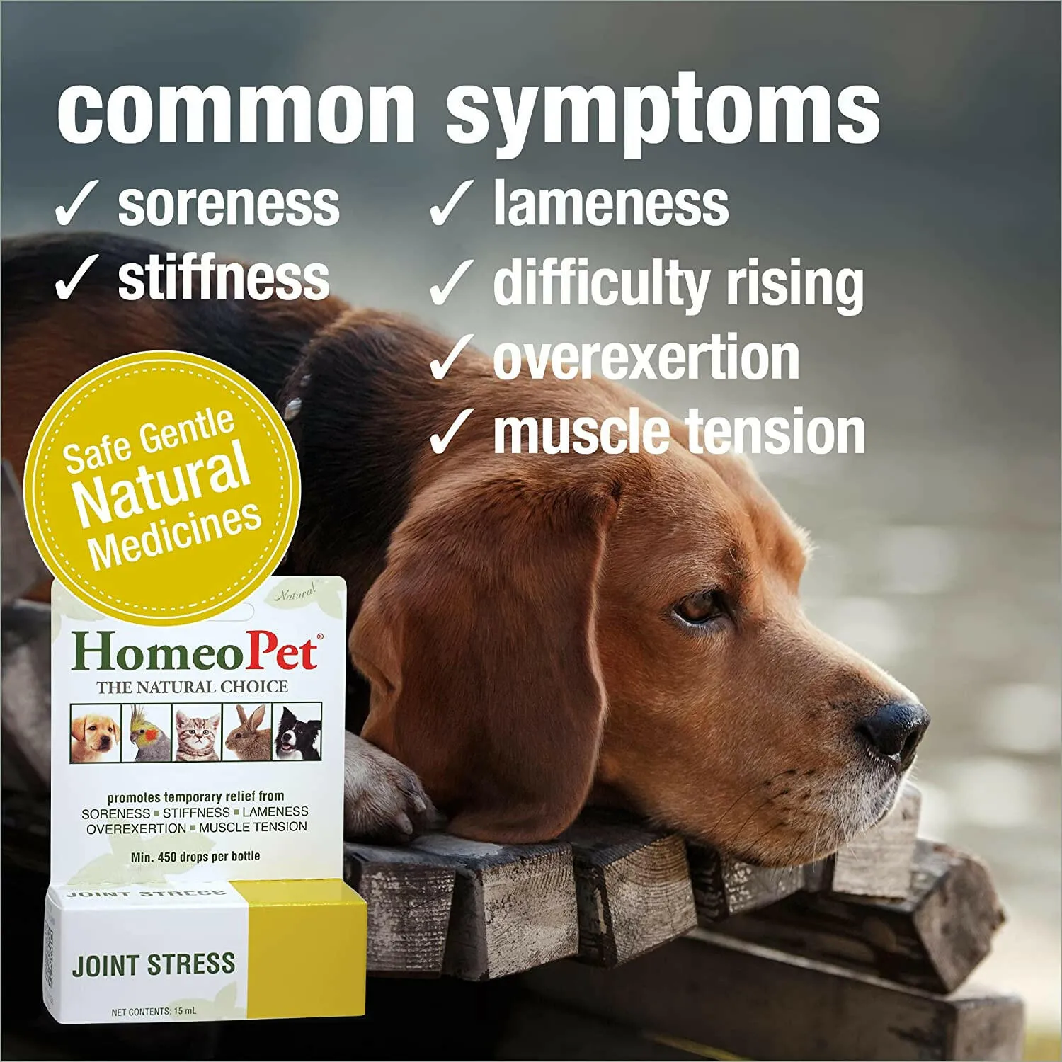 HomeoPet Joint Stress (15 ml)