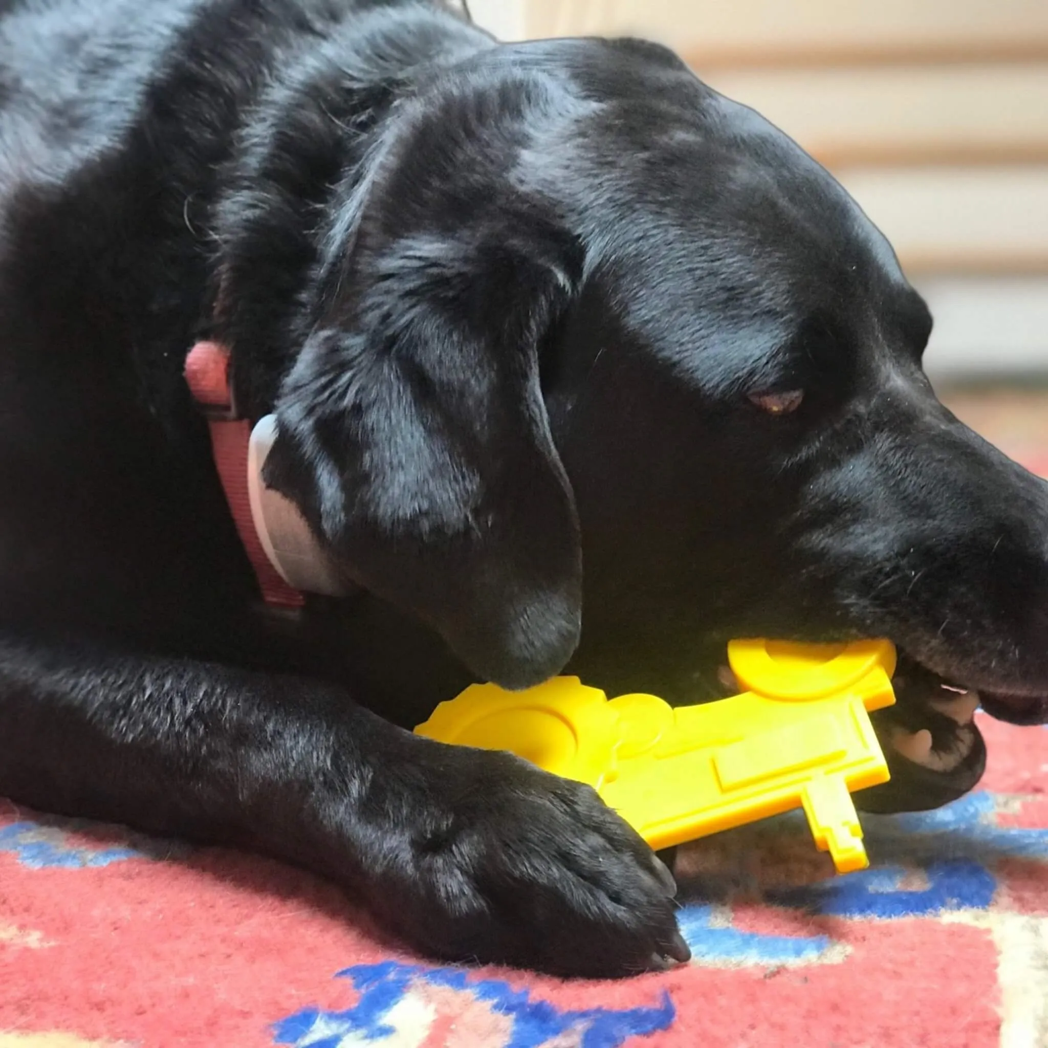 Industrial Tractor Dog Chew Toy