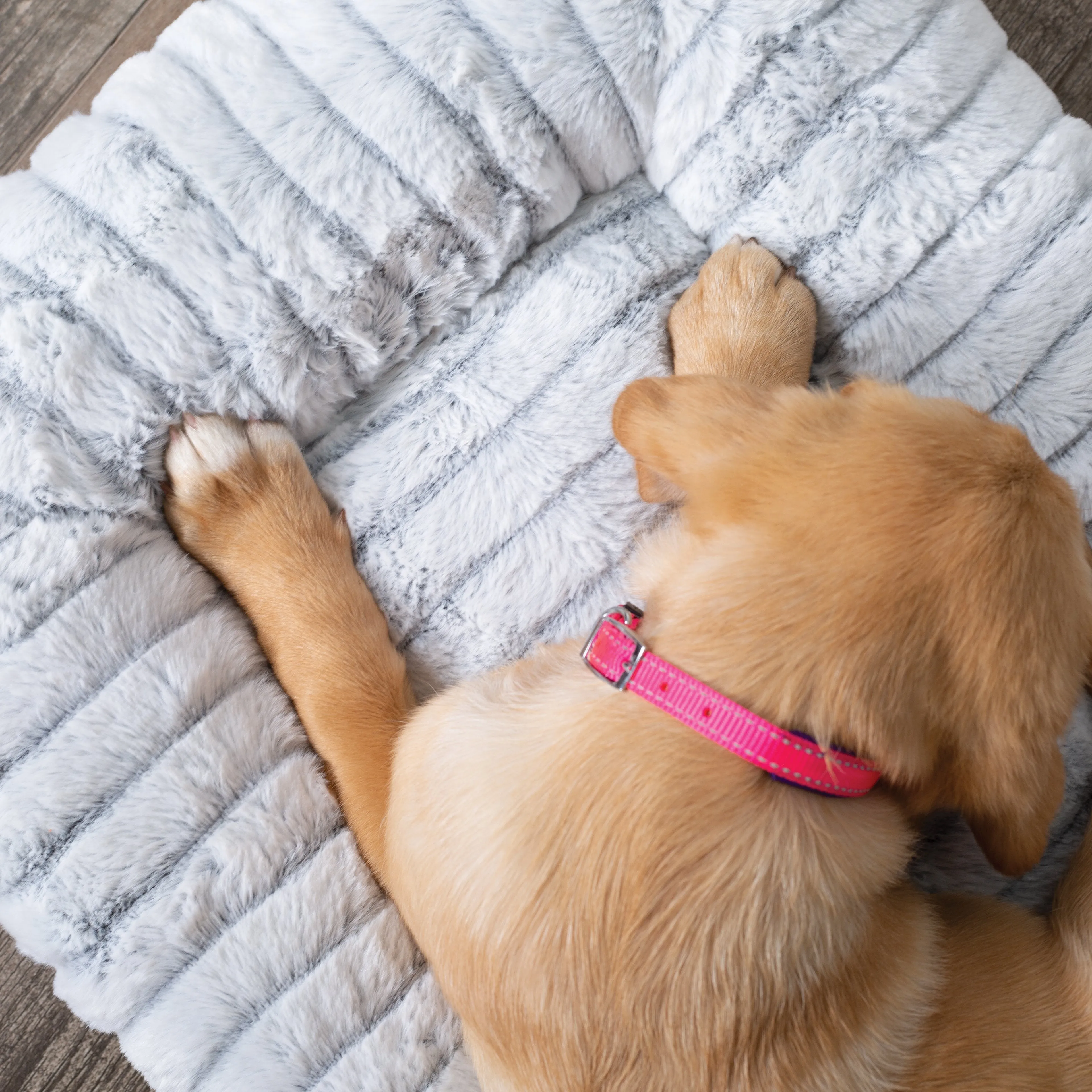 Kazoo Cloud Comfort Medium Grey Dog Bed^^^