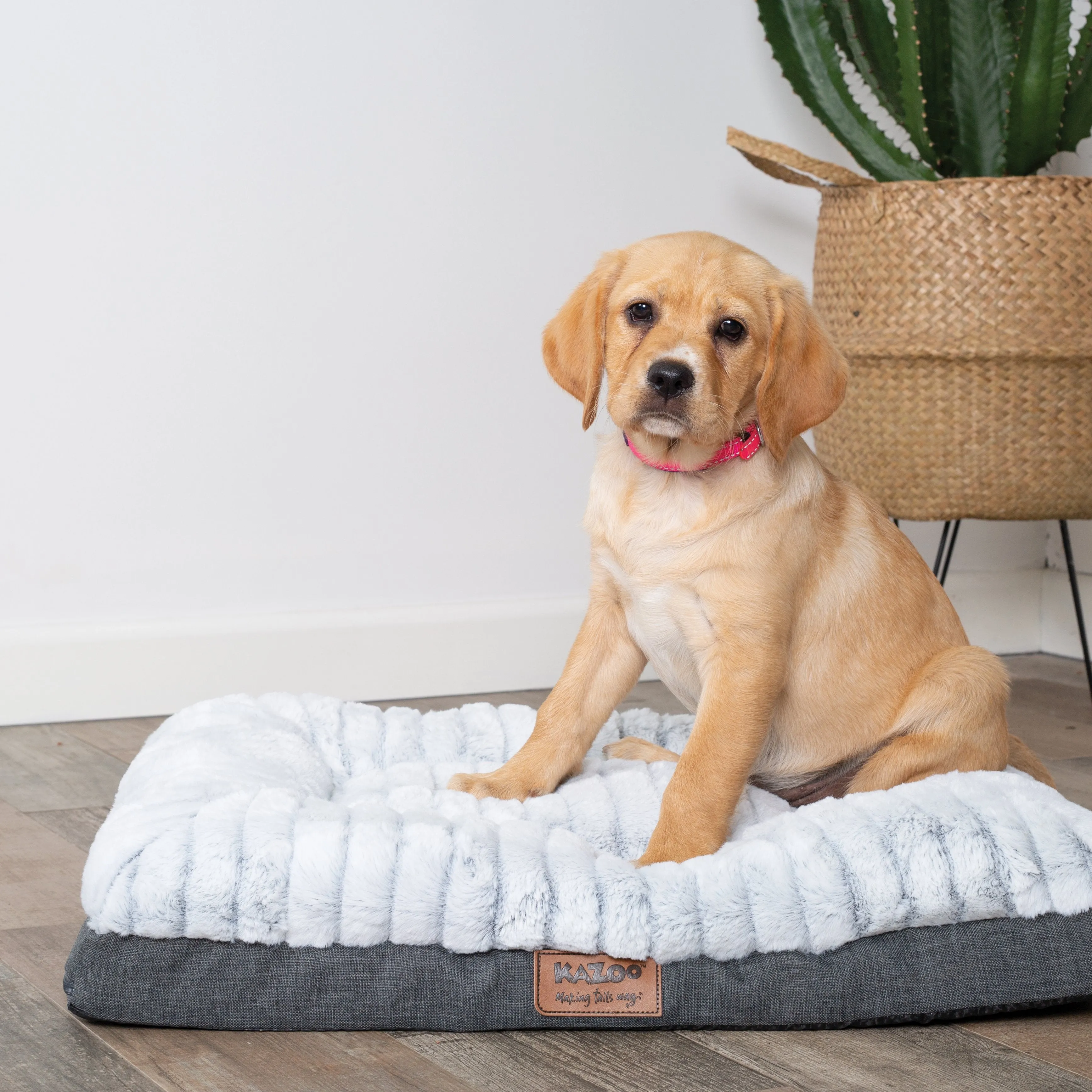 Kazoo Cloud Comfort Medium Grey Dog Bed^^^