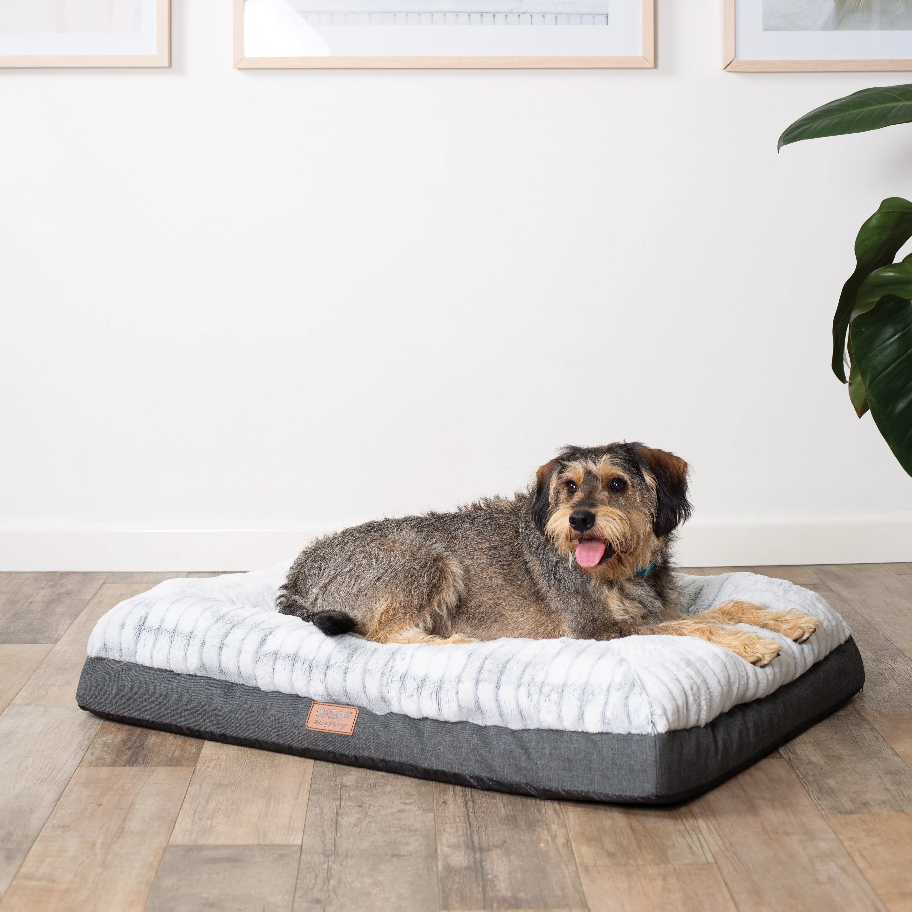 Kazoo Cloud Comfort Medium Grey Dog Bed^^^