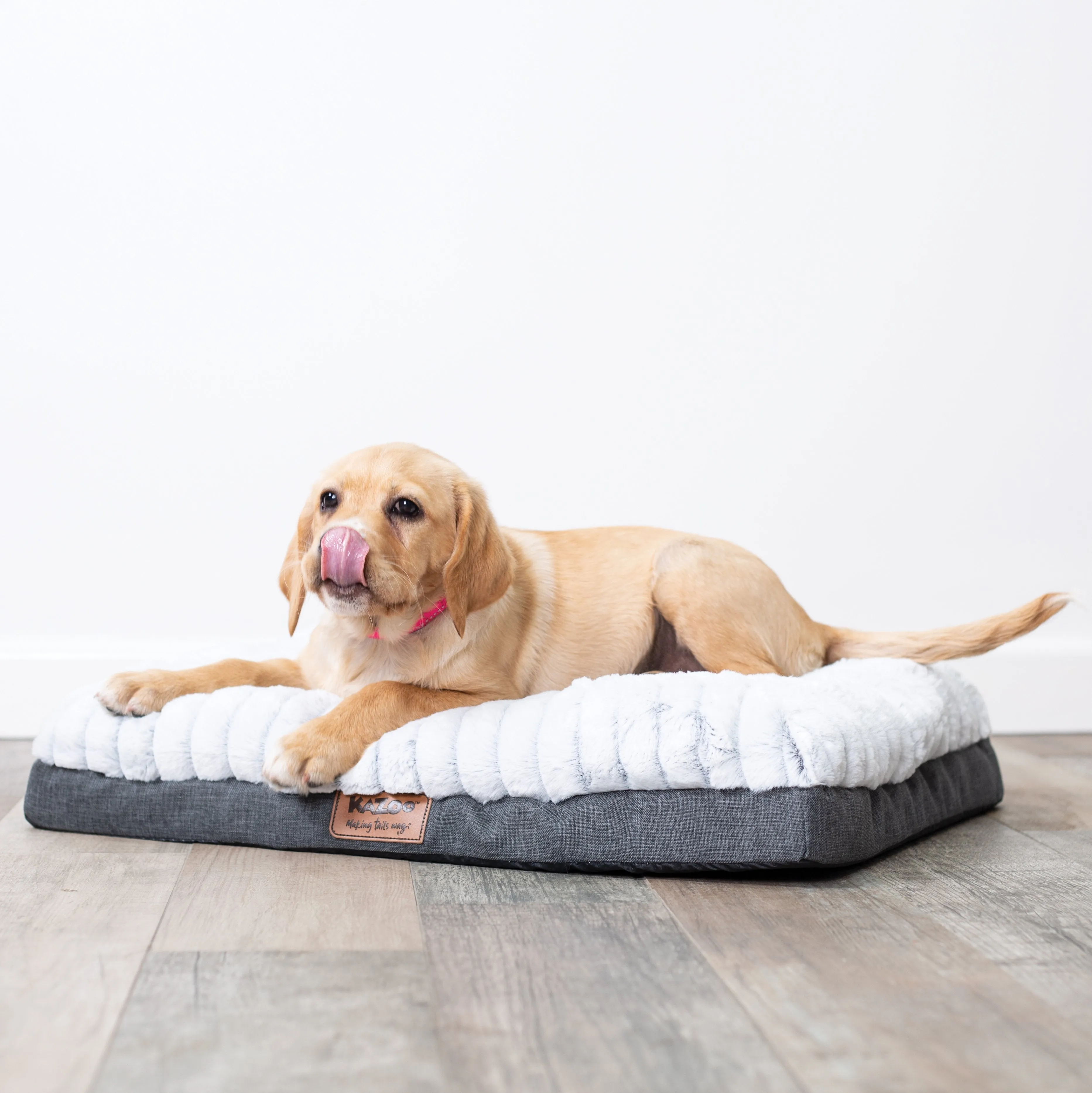 Kazoo Cloud Comfort Medium Grey Dog Bed^^^