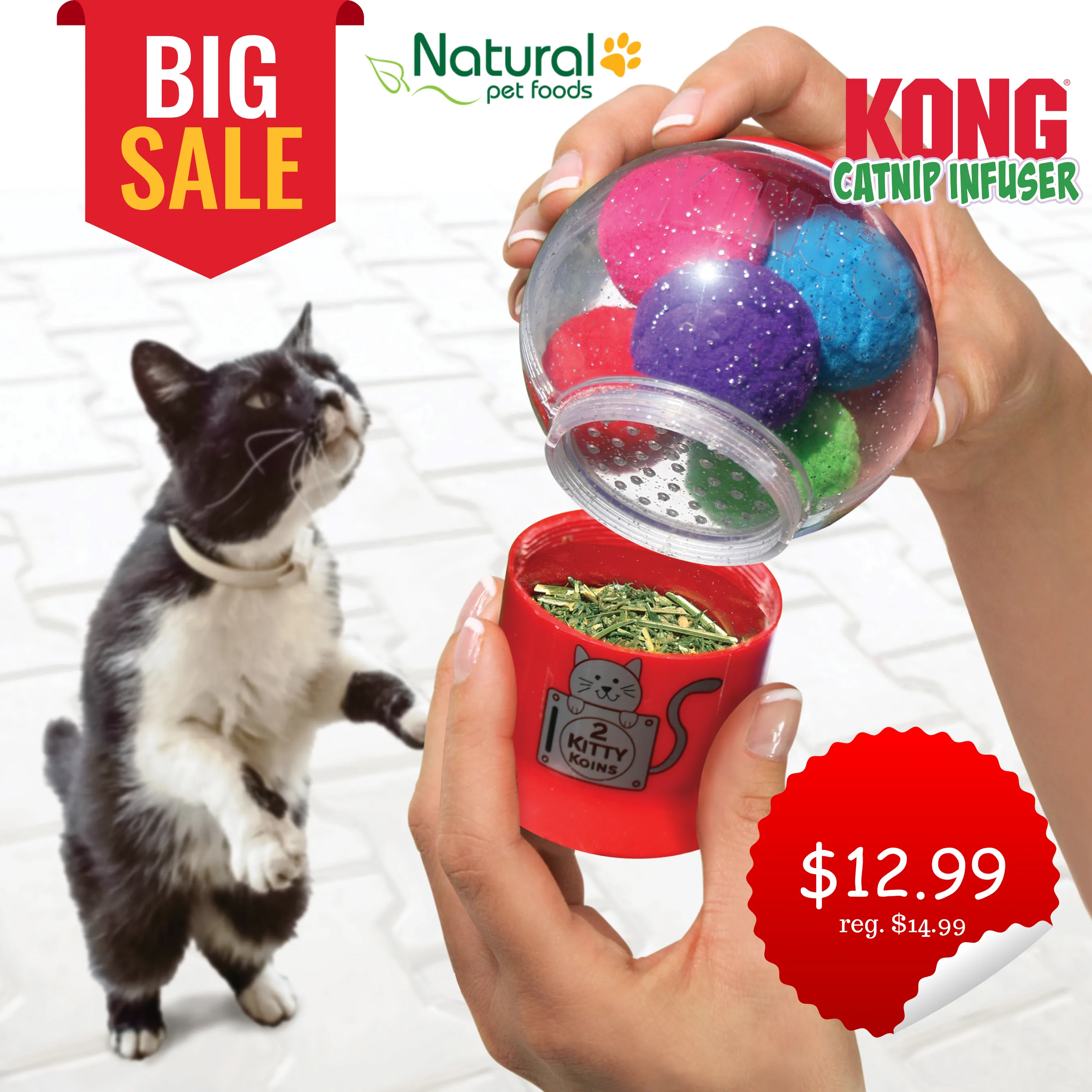 Kong Catnip Infuser SALE