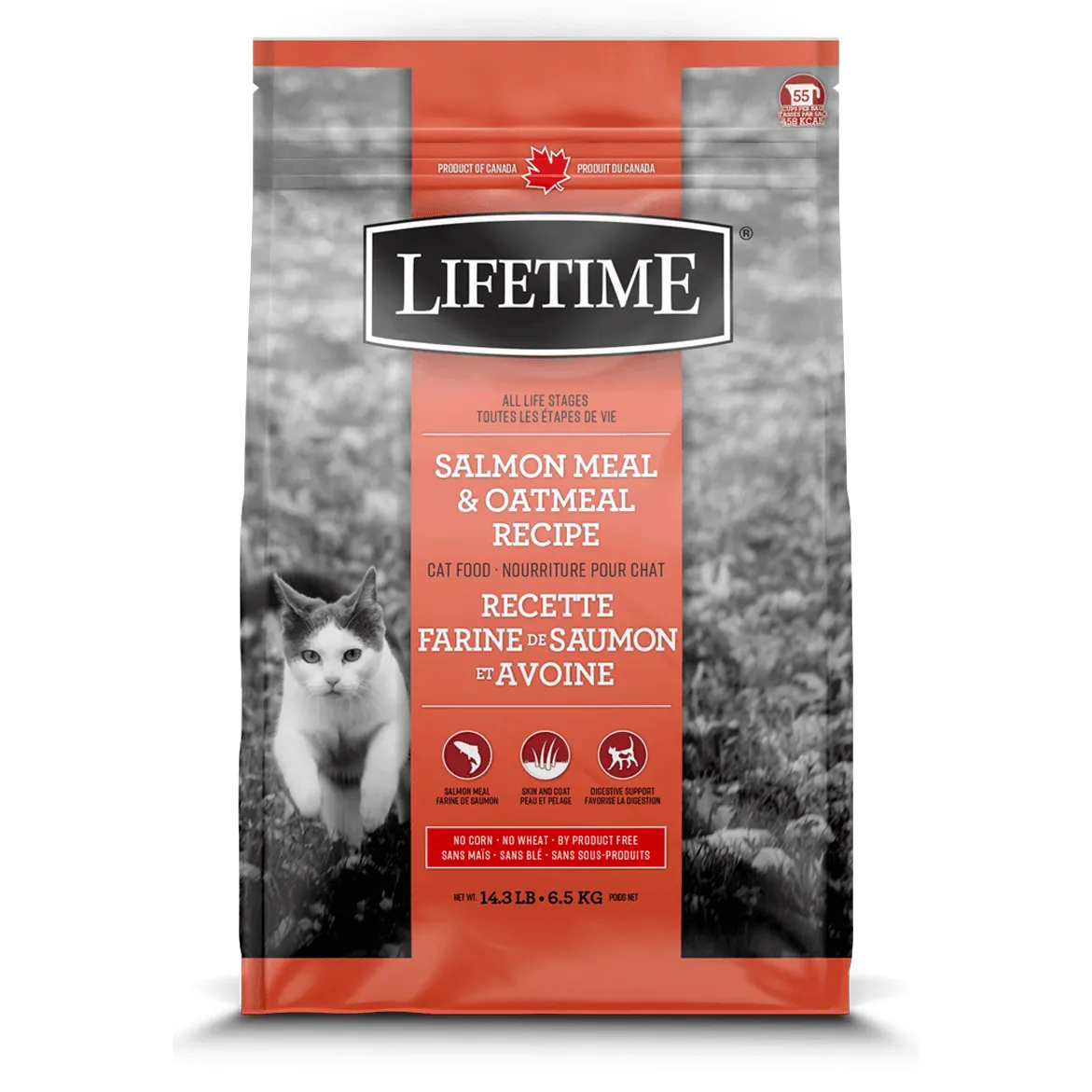 Lifetime Cat Food Salmon Meal & Oatmeal