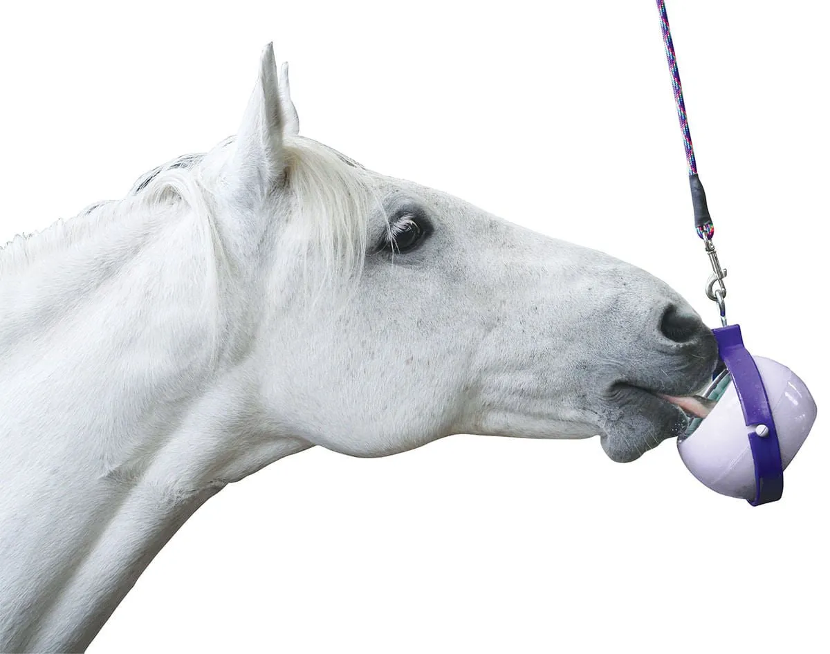 Likit Boredom Buster Toy for Horses