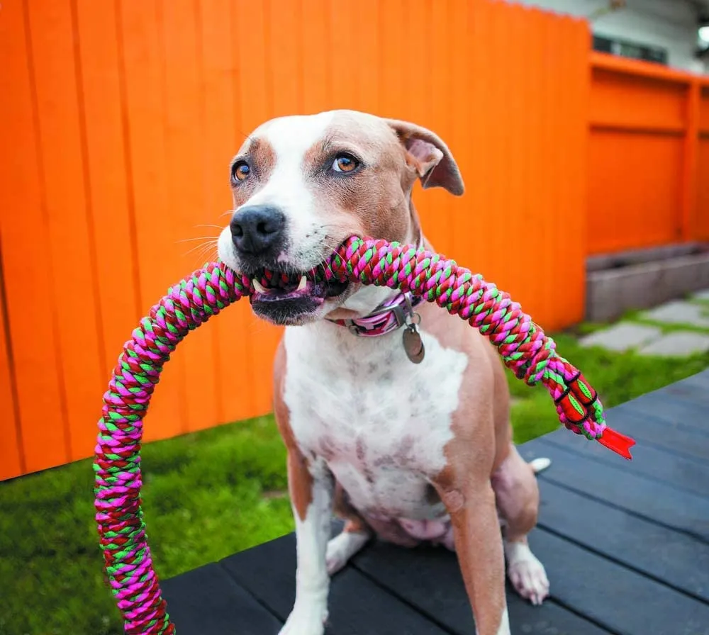 Mammoth SnakeBiter Rope Dog Toy