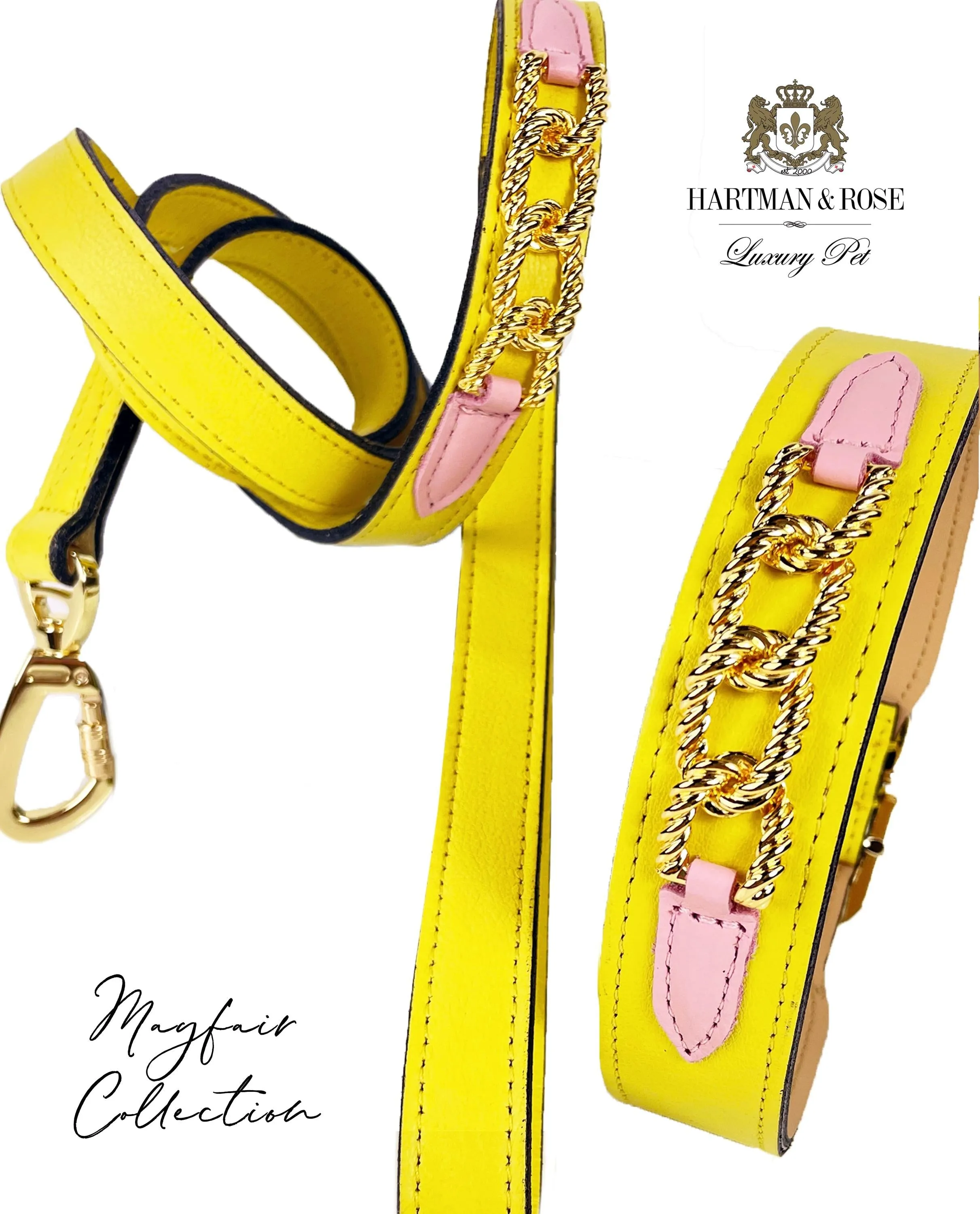 Mayfair Dog Leash in Canary Yellow, Sweet Pink & Gold