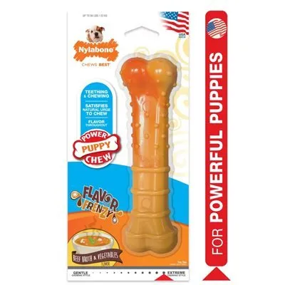 Nylabone Power Puppy Chew Beefbroth & Vegetables Flavor Giant Bone