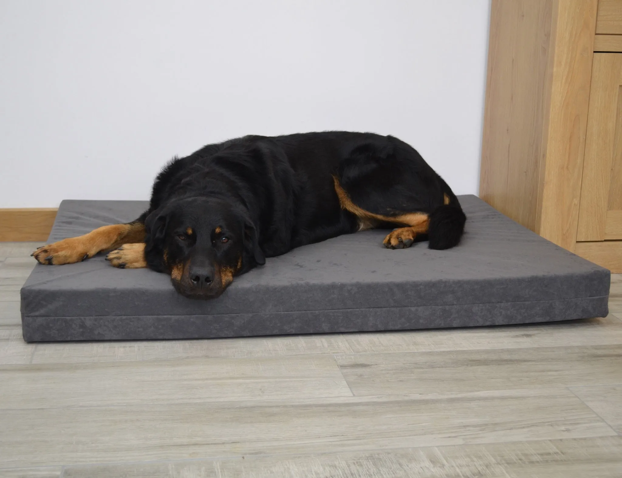 Orthopaedic Dog Beds