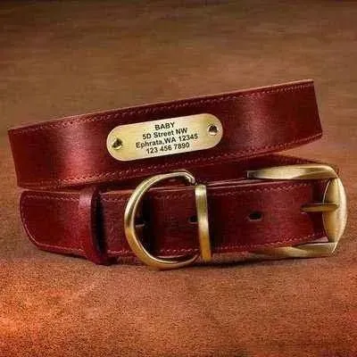 Royal Canine Elegance Personalised Leather Dog Collar & Leash Set 🐾