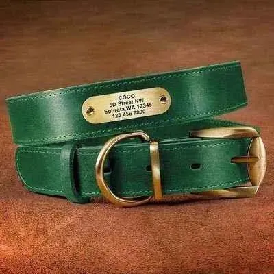 Royal Canine Elegance Personalised Leather Dog Collar & Leash Set 🐾