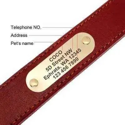 Royal Canine Elegance Personalised Leather Dog Collar & Leash Set 🐾