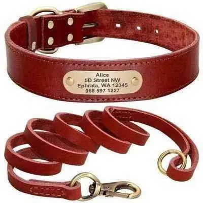 Royal Canine Elegance Personalised Leather Dog Collar & Leash Set 🐾