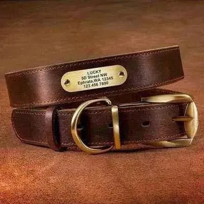 Royal Canine Elegance Personalised Leather Dog Collar & Leash Set 🐾