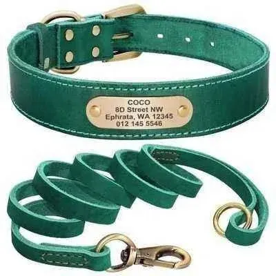 Royal Canine Elegance Personalised Leather Dog Collar & Leash Set 🐾