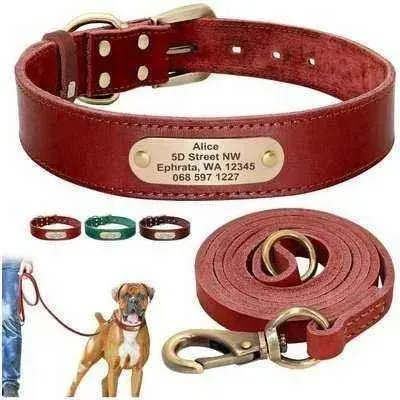 Royal Canine Elegance Personalised Leather Dog Collar & Leash Set 🐾