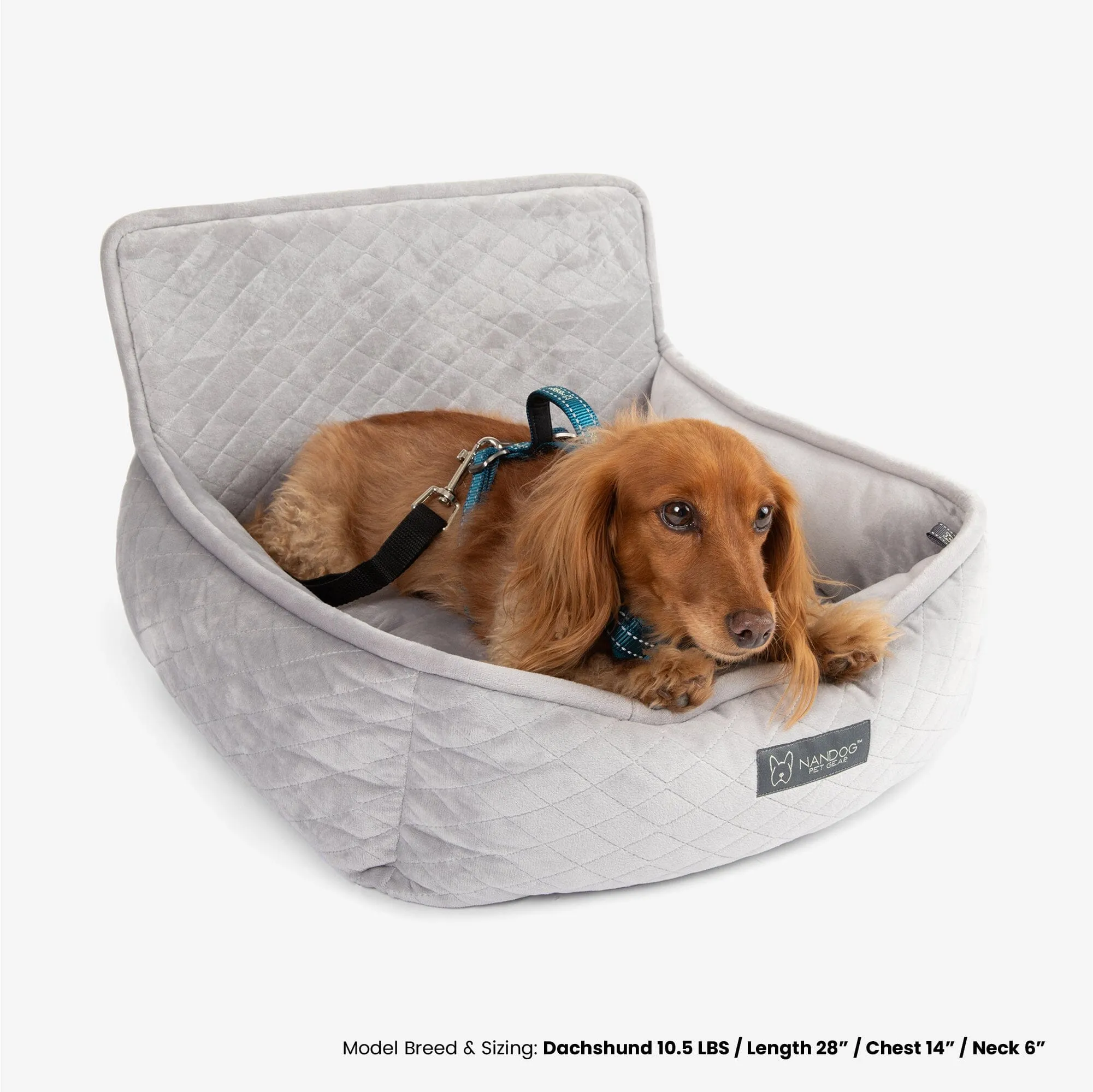 Small Dog Car Seat in Light Gray