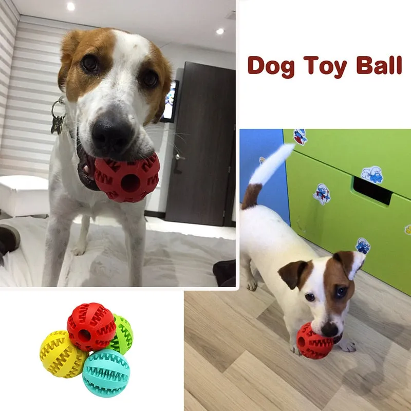 Treat Ball for Cats and Dogs