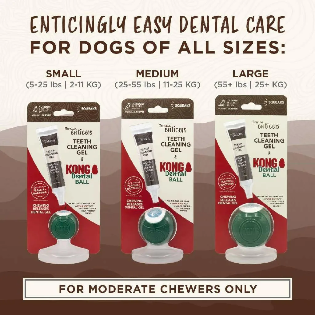 TropiClean Enticers Smoked Beef Flavor Dental Ball Kit for Medium Dogs (1 oz)