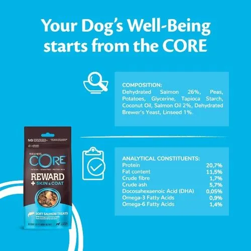 Wellness Core Reward  Dog Treats for Skin & Coat with Salmon - 170g