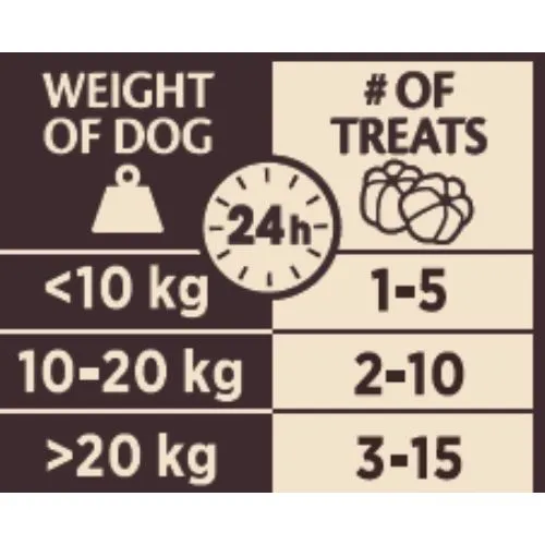 Wellness Core Reward  Dog Treats for Skin & Coat with Salmon - 170g